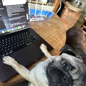 carltern's profile picture